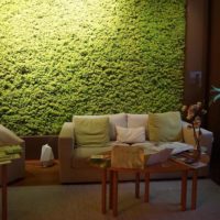 Wall decoration over the sofa with decorative moss
