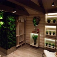 Living moss in the interior of a wooden house