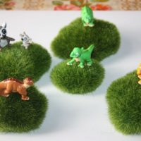Decorative moss crafts for decor