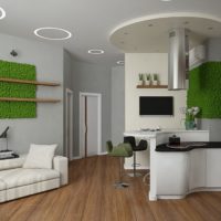 Wall decoration with moss in a studio apartment