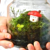 DIY Moss Florarium