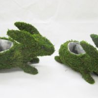 Stabilized Moss Decorative Bunnies