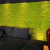 Canapé noir et mur de mousse verte