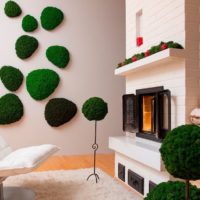 Bright decor of living moss for the living room