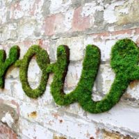 Green moss inscription on an old brick wall