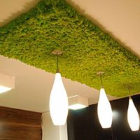 Decor of the ceiling lamp with a moss