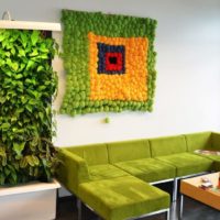 Living wall of green plants in the living room