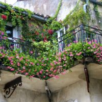 Small balcony strewn with fresh flowers