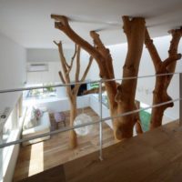 Trees in a home interior design