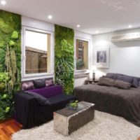 Living plants on the wall of an ordinary apartment