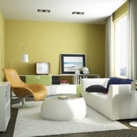 Salon confortable avec des murs d'olive dans un appartement de la ville