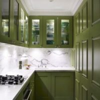 Olive set in a narrow kitchen