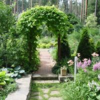 Climbing arch in a private garden landscape