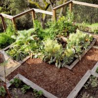 DIY do-it-yourself garden