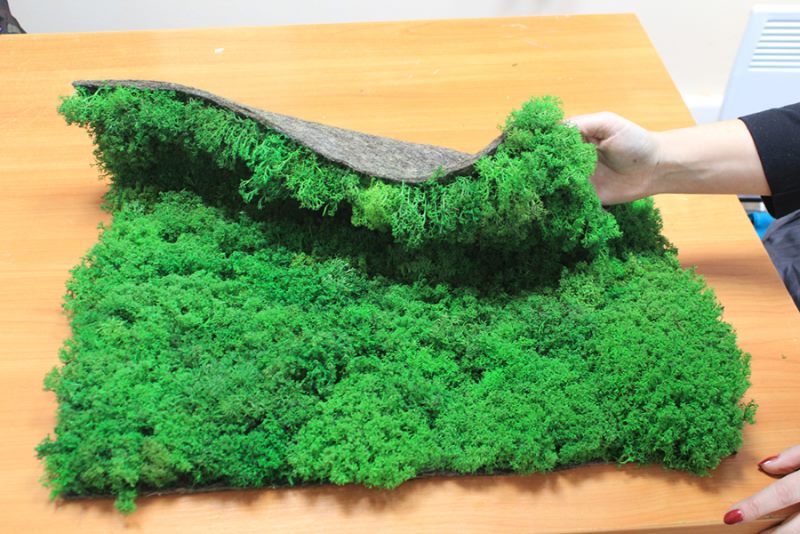 Stabilized moss decorative panel for interior decoration