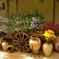 Vieux vases et panier de fleurs