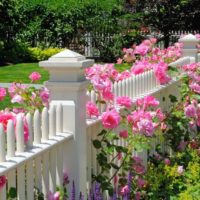Decor of a wooden fence with flowering plants