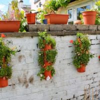Decorating a brick fence with flower pots