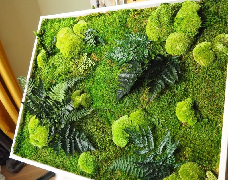 DIY moss painting for room interior decoration