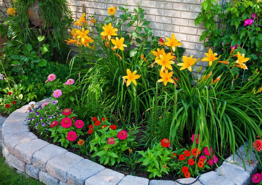 Simple flowerbed with hewn stone border