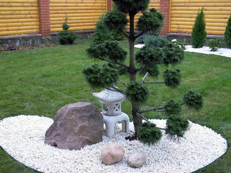 Miniature composition in the style of the Japanese garden