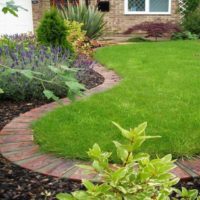 Highlighting the edge of the lawn with red brick
