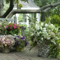 Pots de fleurs avec des fleurs dans l'aménagement paysager