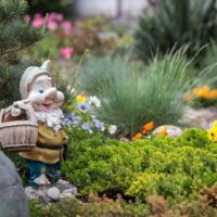 Fairy-tale gnome on a flowerbed of a garden plot