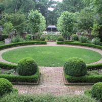 Shrubs in European Garden Design