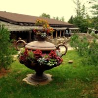 Vase antique comme lit de fleurs de jardin