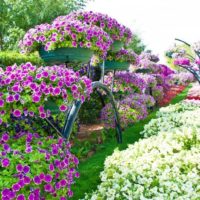Vertical gardening with flowerpots