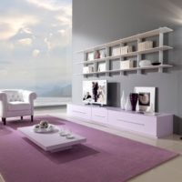 Lavender carpet in the living room interior