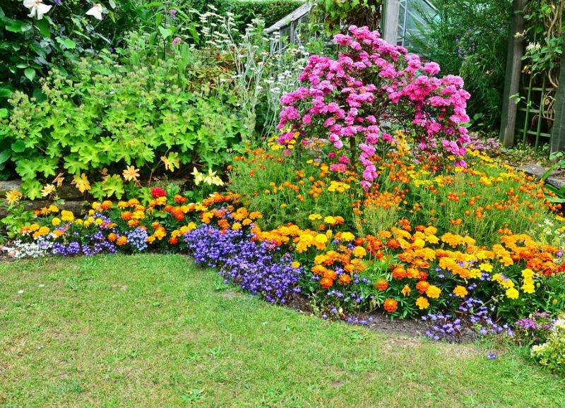 Mixborder with flowering perennials