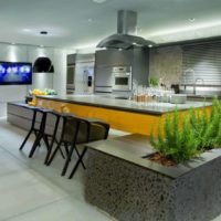 Living plants in the design of the kitchen-living room
