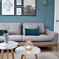 Turquoise wall and gray furniture in the design of the living room