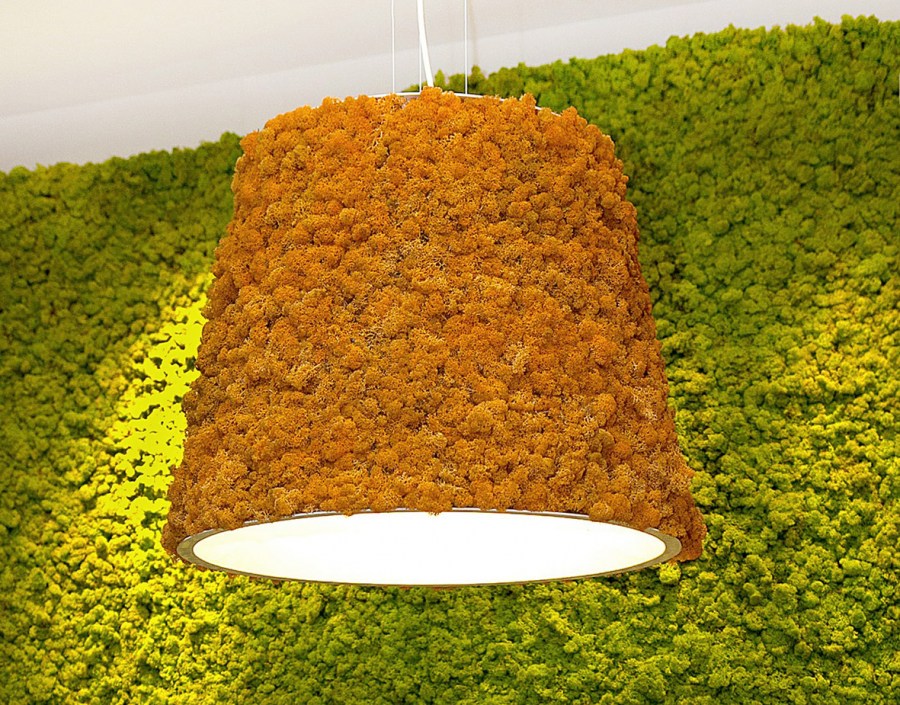 Decoration of the lamp with stabilized moss
