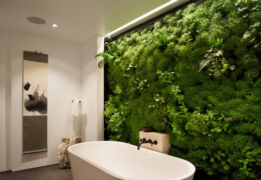 Fitostena in the bathroom of moss and other green plants