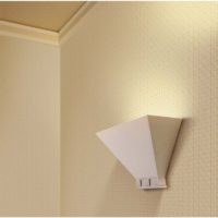 Wall sconce on paint wallpaper