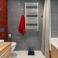 Bathroom design with gray and red tiles