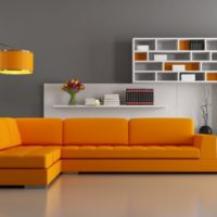 Orange sofa and white bookshelves