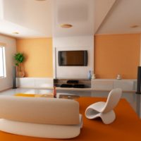 Modern living room with orange carpet