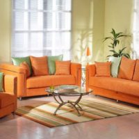 Living room of a country house with orange sofas