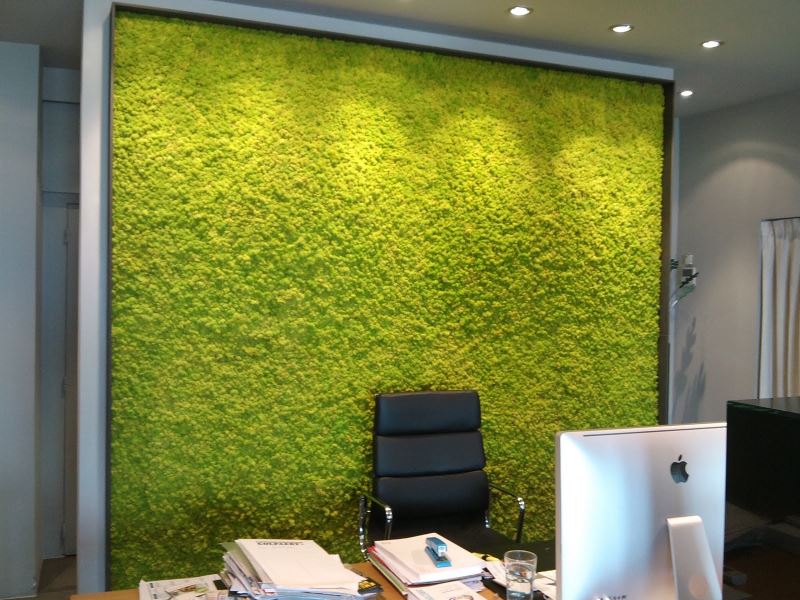 Green moss on the wall of the office