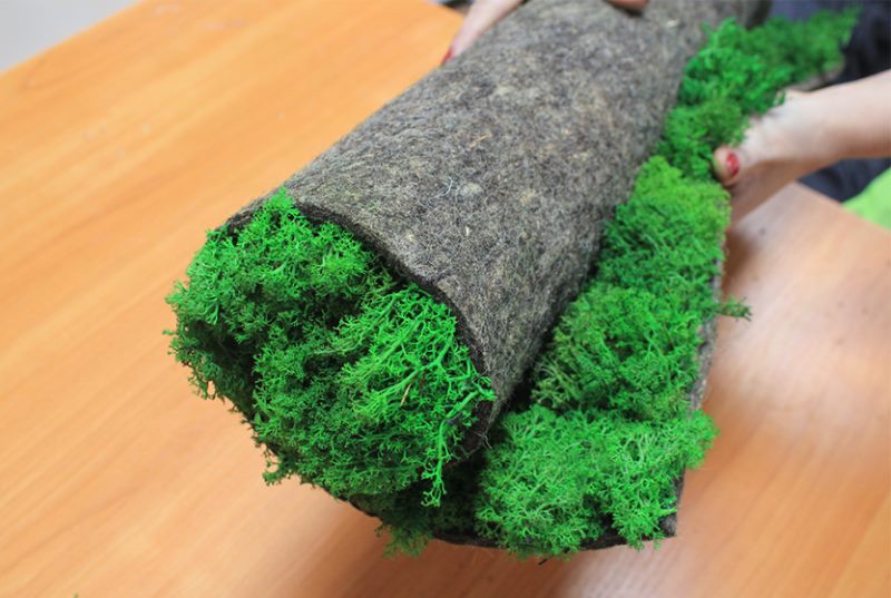 Roll of finished moss for interior decoration