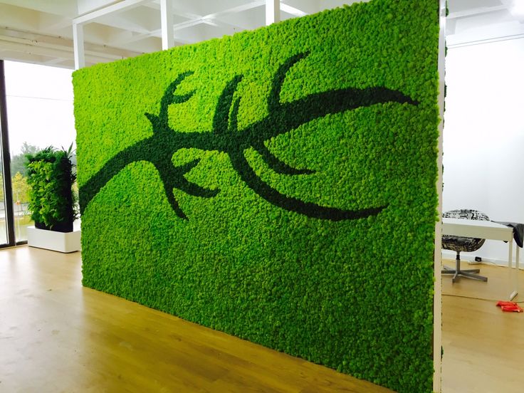 Fitosten from decorative moss in the interior of the living room