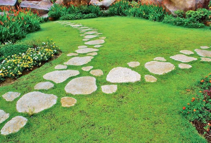 Natural stone walkway in a private garden