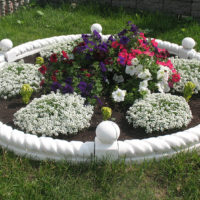 DIY flower bed made of concrete