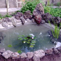DIY artificial pond with plants