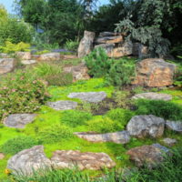Stone boulders in landscaping