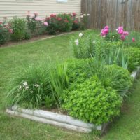 Simple flowerbeds from the boards with your own hands